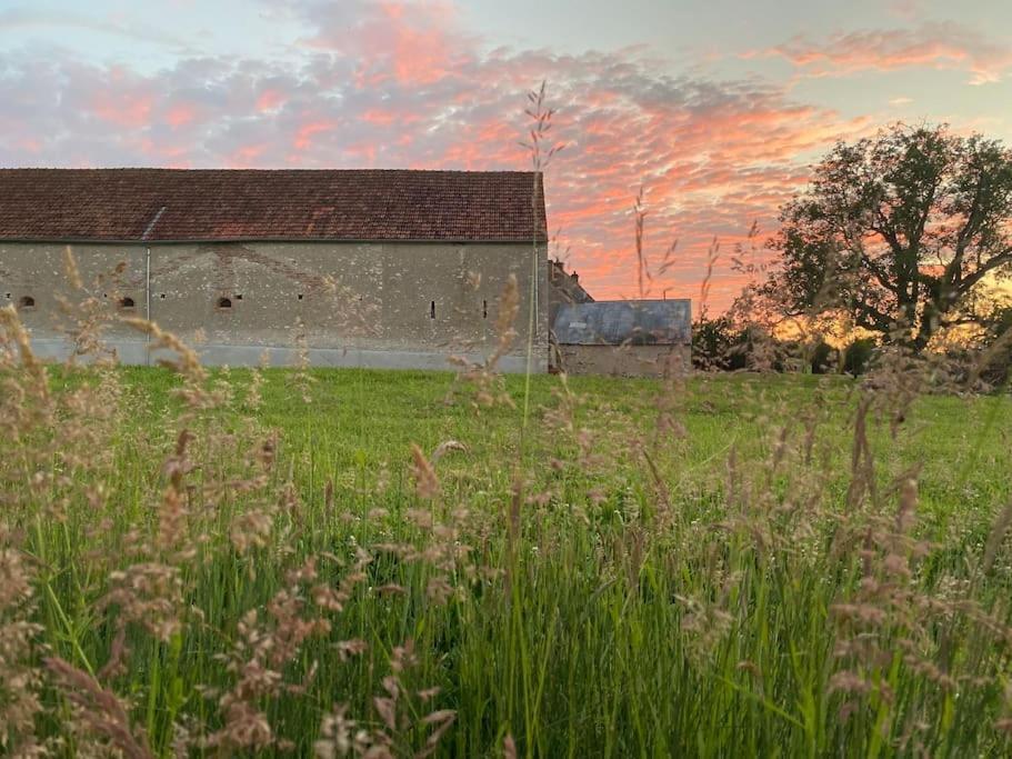 Villenouan Domaine Et Gites Lailly-en-Val Exterior foto